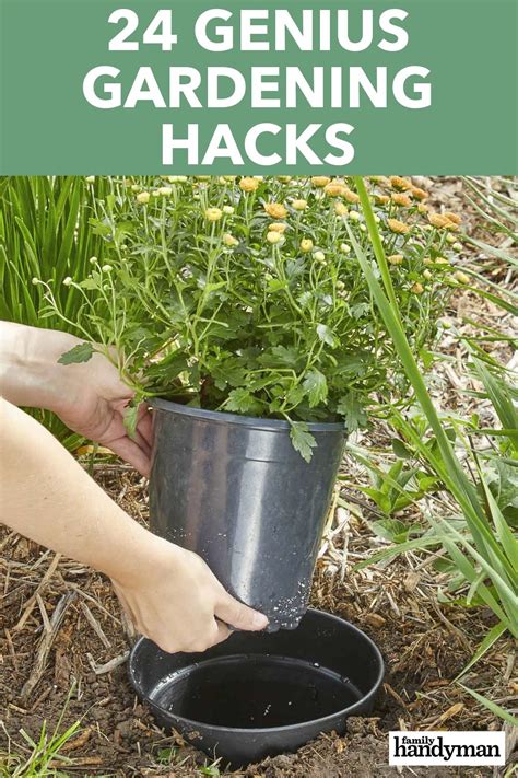 24 genius gardening hacks you ll be glad you know gardening tips