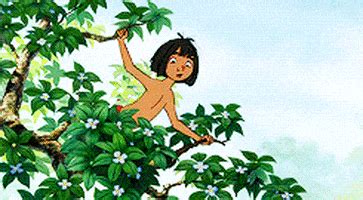 jungle book gifs find share  giphy
