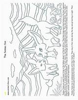 Fox Coloring Terry Pages Sheets Luxury Divyajanani sketch template