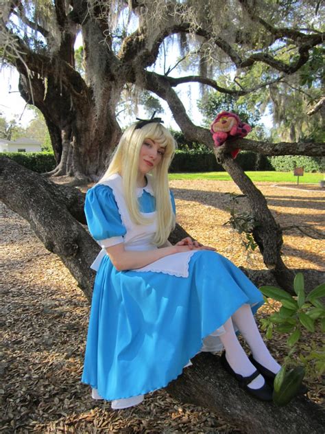 Alice In Wonderland Adult Costume Etsy