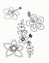 Coloring Pages Flower Tropical Hawaiian Plumeria Flowers Printable Hawaii Themed Luau Choose Print Color Popular Colouring Coloringhome Drawing Getcolorings Board sketch template