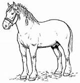 Horse Coloring Pages Print Printable Horses Kids Color Sheets Printables Adults Animal sketch template