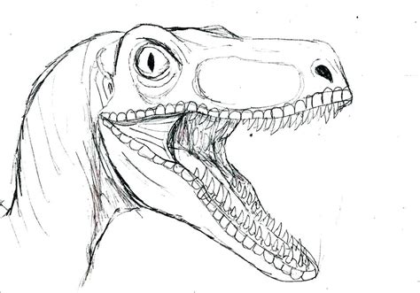 velociraptor tu web especializada en dinosaurios