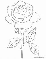 Stem Rose Drawing Long Coloring Color Getdrawings Roses sketch template