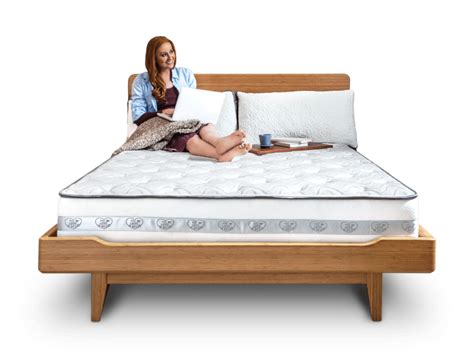 5 best bed frame for sexually active couple reviews 2019