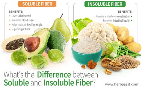 whats  difference  soluble  insoluble fiber herbazest