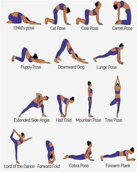basic yoga moves  beginners