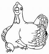 Hen Mother Chicks Coloring Sermons4kids Esp Chick Her Gather Longed Often Together Children Getdrawings Drawing sketch template