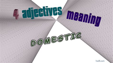 domestic  adjectives   meaning  domestic sentence examples youtube