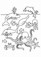 Vissen Kleurplaten Kleurplaat Poisson Fisch Unterwassertiere Malvorlagen Coloriages Animali sketch template