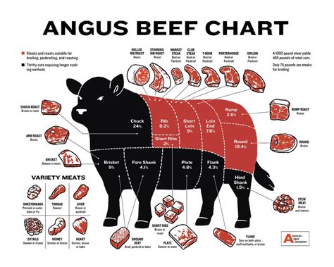 beginners guide  beef cuts angus beef butcher chart laminated wall decor art print poster