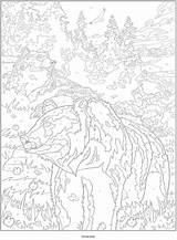Animals Coloring Numbers Printable Adult Dover Publications Color Number Choose Board Haven Creative Adults Colour sketch template