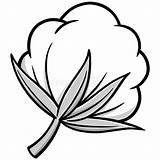 Coton Fleur Katoen Bomull Clipground Gossypium Pods Vecteur Pamuk Seeds Webstockreview Clker 123rf sketch template