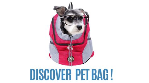 pet bag  special backpacks  pets youtube