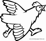 Coloring Pages Chicken Chickens Funny Clipart Color Library Mad Gif sketch template