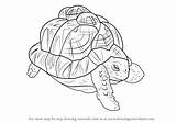 Tortoise Drawingtutorials101 sketch template