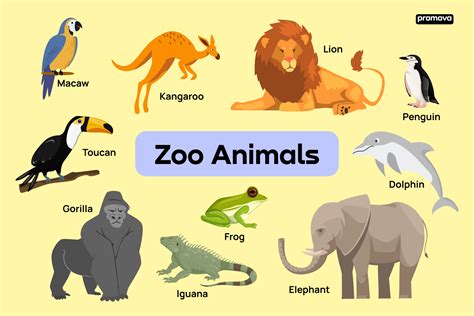 zoo animals vocabulary  definitions