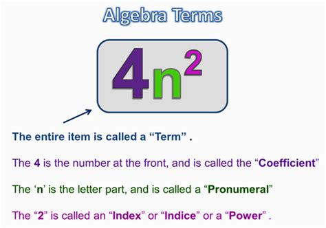 algebra terms  expressions passys world  mathematics