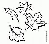 Coloring Leaves Pages Printable Fall Popular sketch template