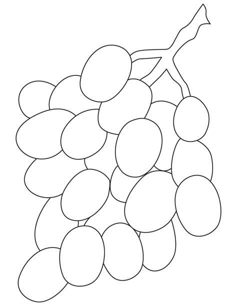 bunch grapes coloring pages   bunch grapes coloring pages