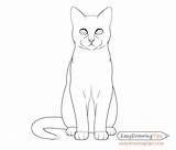 Cat Sitting Front Drawing Outline Draw Step Simple Cats Easy Drawings Details Back Cartoon Warrior Steps Choose Board Sketches источник sketch template