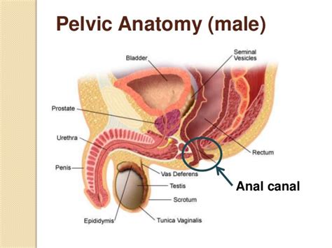 Anal Cancer Video