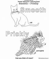 Coloring Smooth Book Opposites Animal Enchantedlearning Prickly Enchanted Learning Search Designlooter sketch template