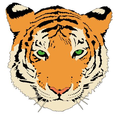 tiger coloring page clip art  clkercom vector clip art
