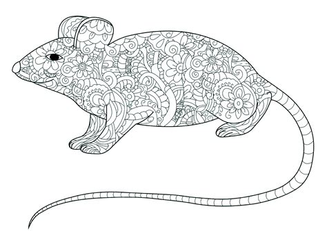 flowered mouse mouses adult coloring pages
