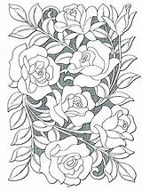 Coloring Roses Pages Border Adults Getcolorings Rose sketch template