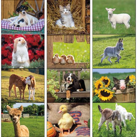 imprintcom baby farm animals calendar stapled  st