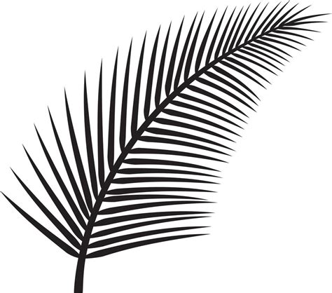 leaf  palm tree  vector art  vecteezy