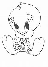 Coloring Tweety Pages Bird Printable Popular Book sketch template
