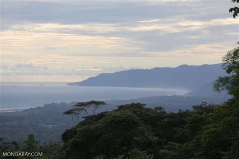 view  corcovado   osa peninsula costaricaosa