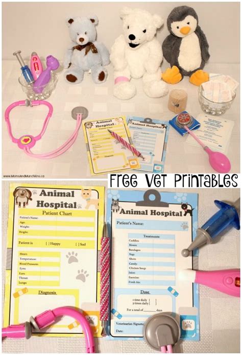vet printables moms munchkins dramatic play themes preschool centers