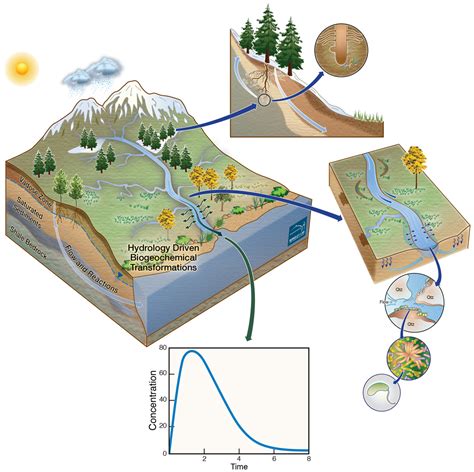 coloradoriver berkeley lab  lead  watershed function scientific