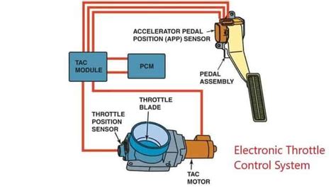 electronic throttle control light       rx mechanic