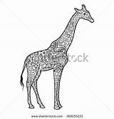 Mandala Jirafa Giraffe Shutterstock sketch template
