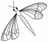 Dragonfly Outline Clipart Printable Coloring Cliparts Clip Library sketch template