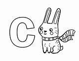 Coelho Conejo Abecedario Alfabeto Conill Acolore Infantil Dibuix Atividades Coniglio Figuras Tudodesenhos Lettere Lalfabeto Numeri Dibuixos Acessar Iniciales sketch template