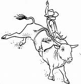 Riding Bucking Toros Rodeo Rider Bulls Monta Pbr Toro Draw Vaquero Nicaragua Cowboys sketch template