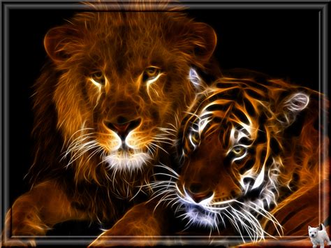 Lion And Tiger By Polypheme64 On Deviantart