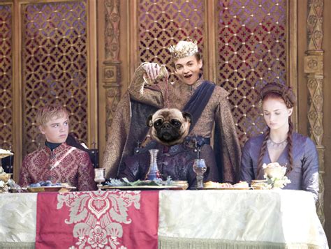 guerra de photoshop por una foto del rey joffrey con un carlino
