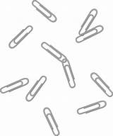 Clips Scattered Paperclips Sweetclipart Webstockreview Objectify Clipground sketch template