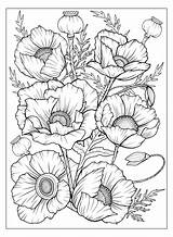 Poppies Leaves sketch template