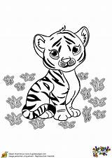 Tigre Bébé Hugolescargot Colorier Mignon Hugo Ordinateur Choisir sketch template