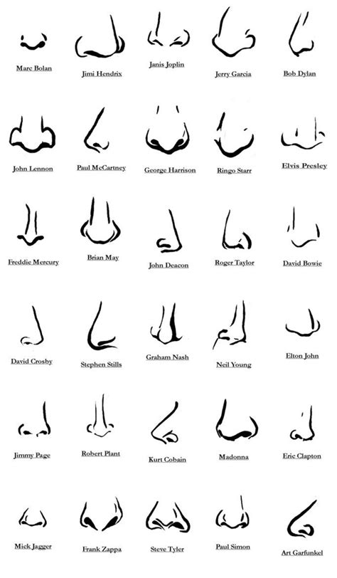 Rock And Roll Noses Nose Drawing Nose Shapes Nose Types