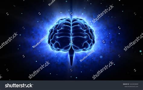 brain head human mental idea mind  illustration background ad ad humanmentalbrainhead