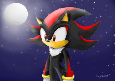 blush mode i ll protect you always shadow the hedgehog x reader