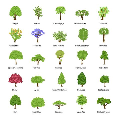 types  trees  vector art  vecteezy